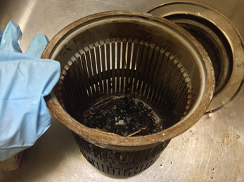 流しシンク掃除_3