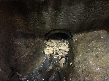 排水 油詰まり_2